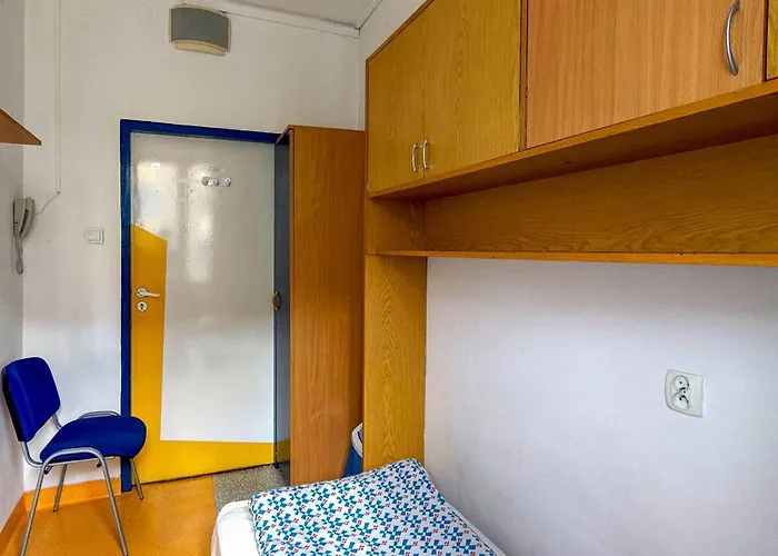 Dizzy Daisy * Wroclaw