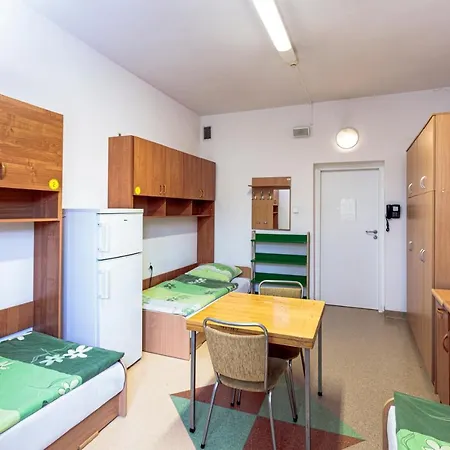 Dizzy Daisy Hostel