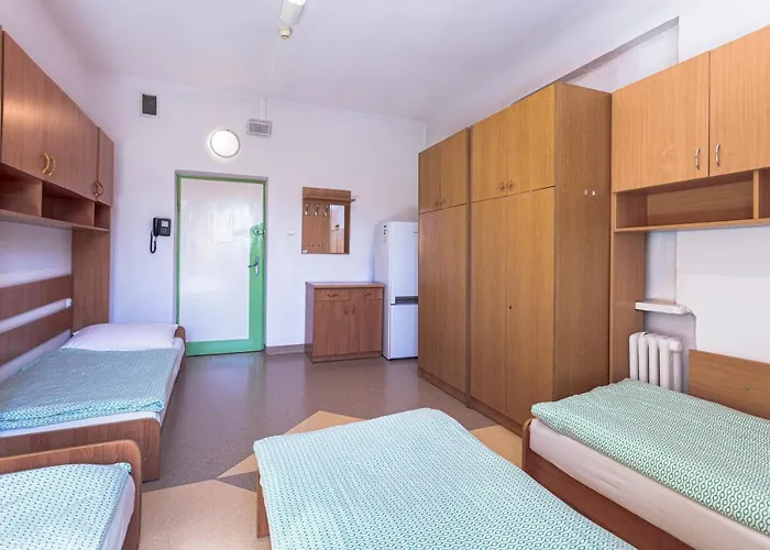 Dizzy Daisy Vratislav